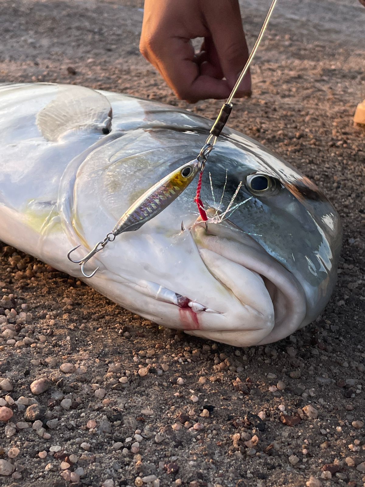 Pesca de orilla en el antiguo muelle de La Paz — imagen 2