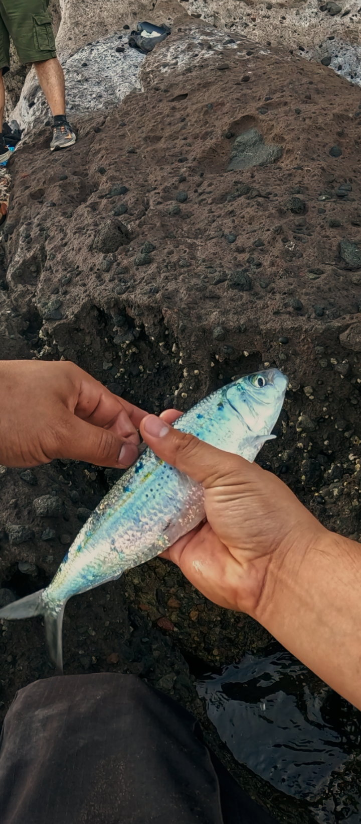 Pescando frente a la Isla Gaviota — imagen 2