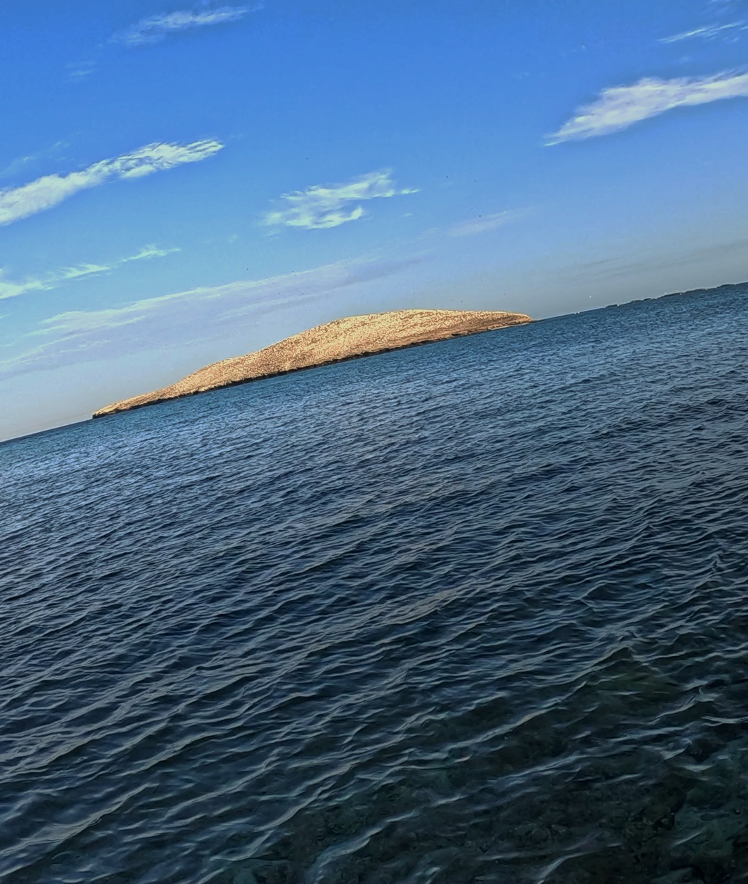 Pescando frente a la Isla Gaviota — imagen 3