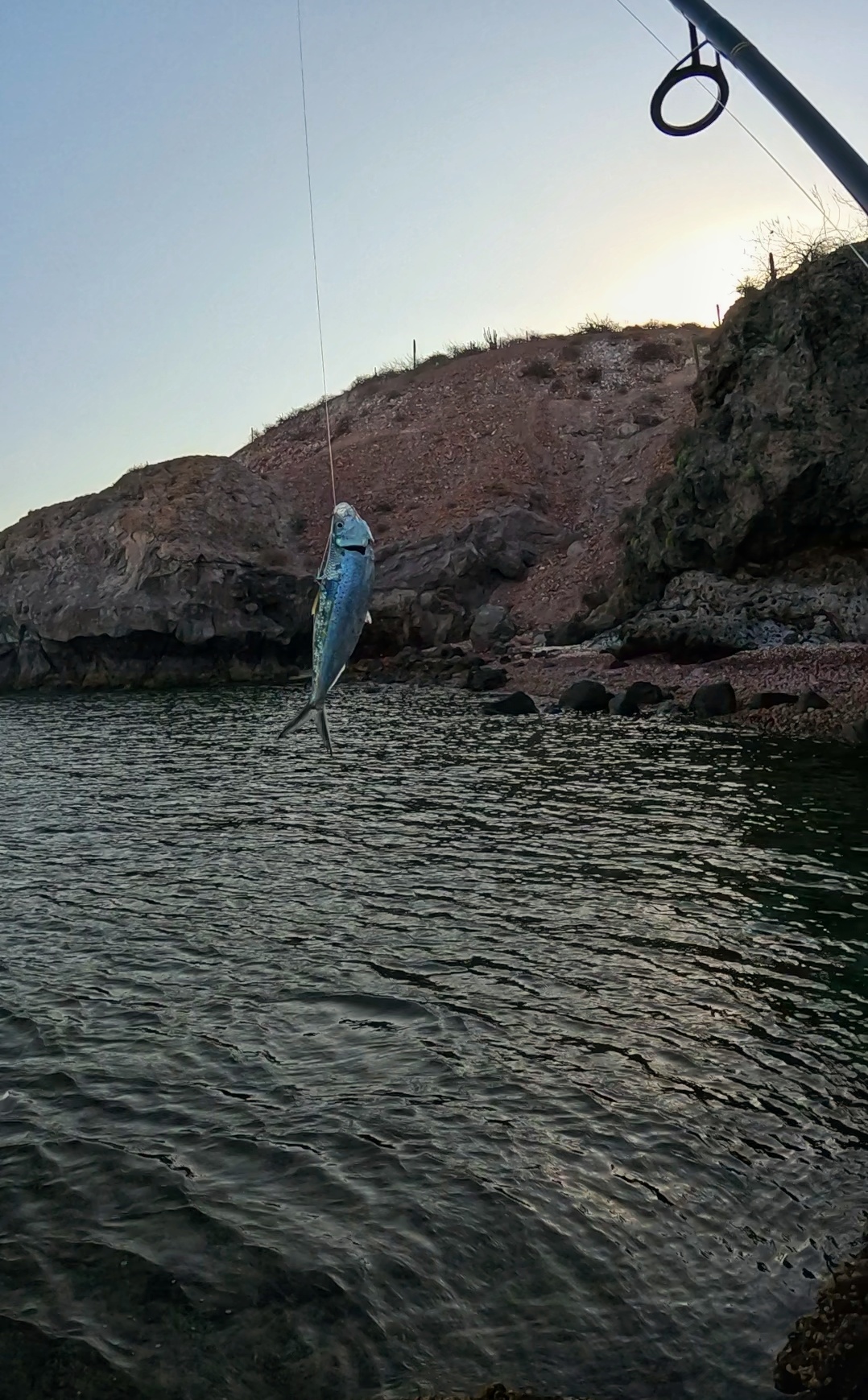 Pescando frente a la Isla Gaviota — imagen 4