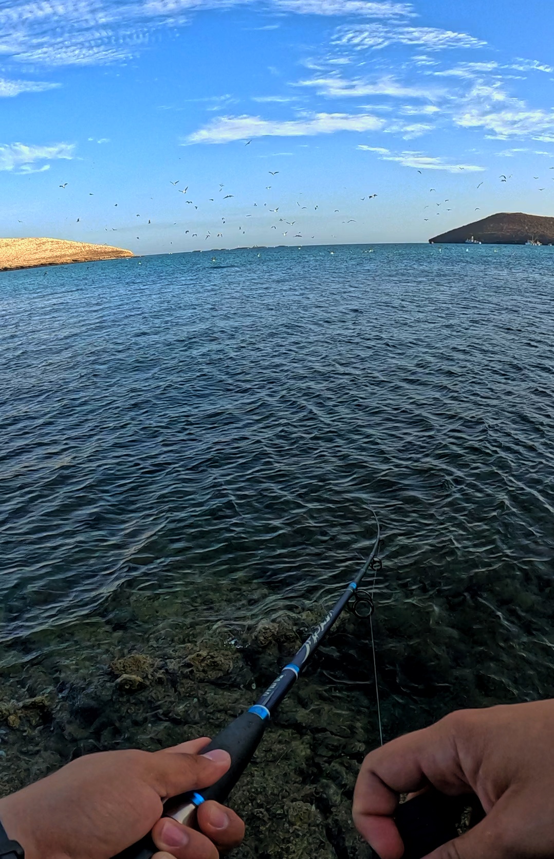 Pescando frente a la Isla Gaviota — imagen 5
