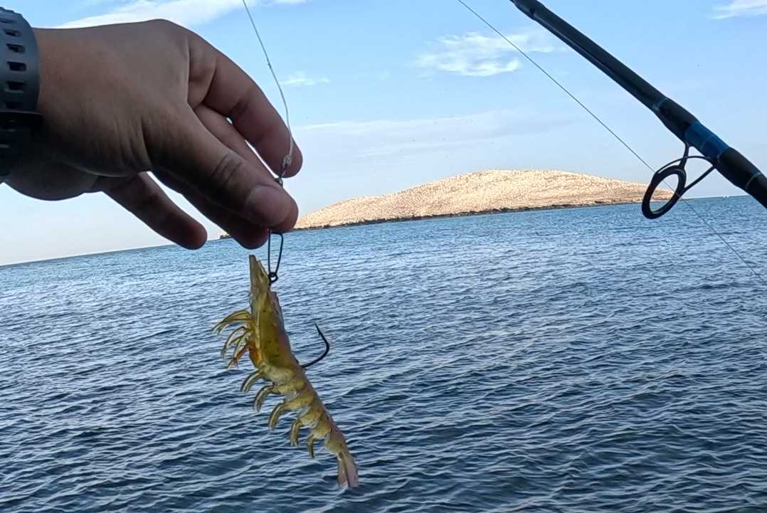 Pescando frente a la Isla Gaviota