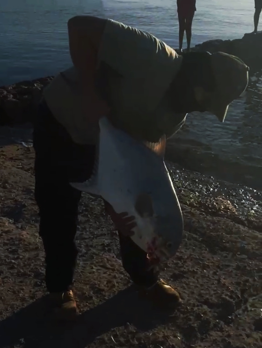 ¡Pescando un monstruo desde la orilla! — imagen 4