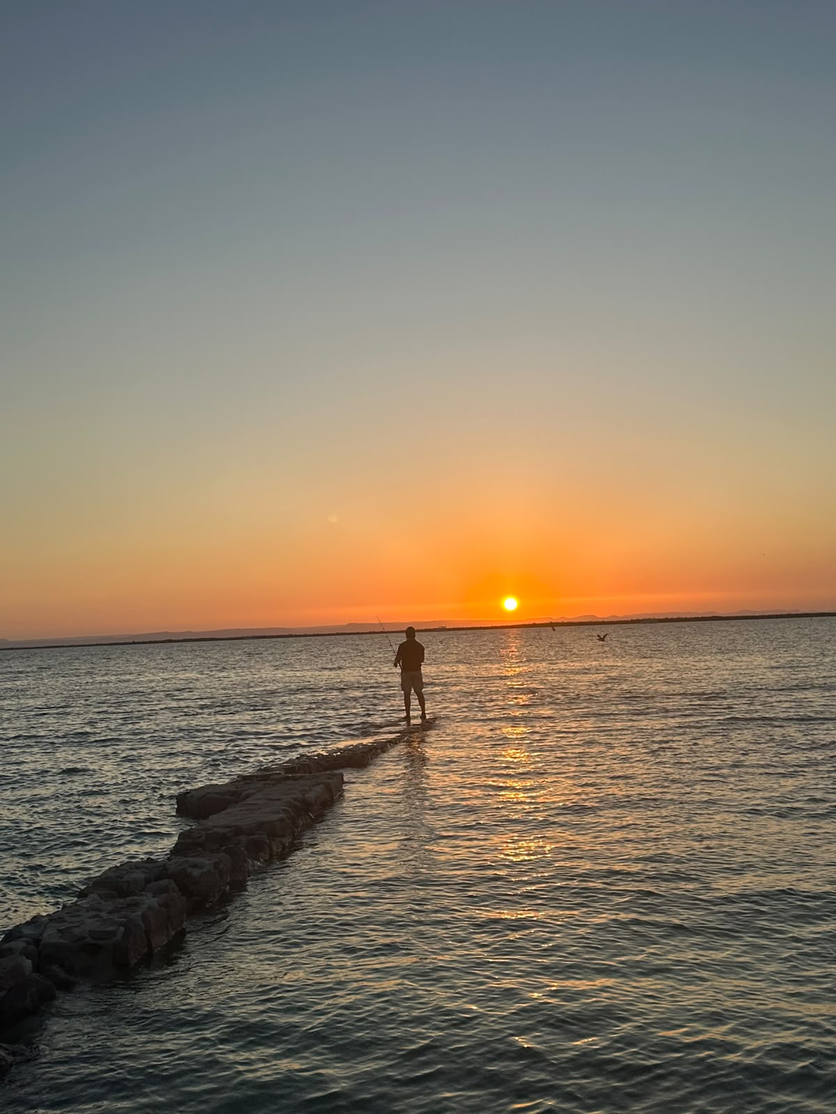 ¡Pescando un monstruo desde la orilla! — imagen 6