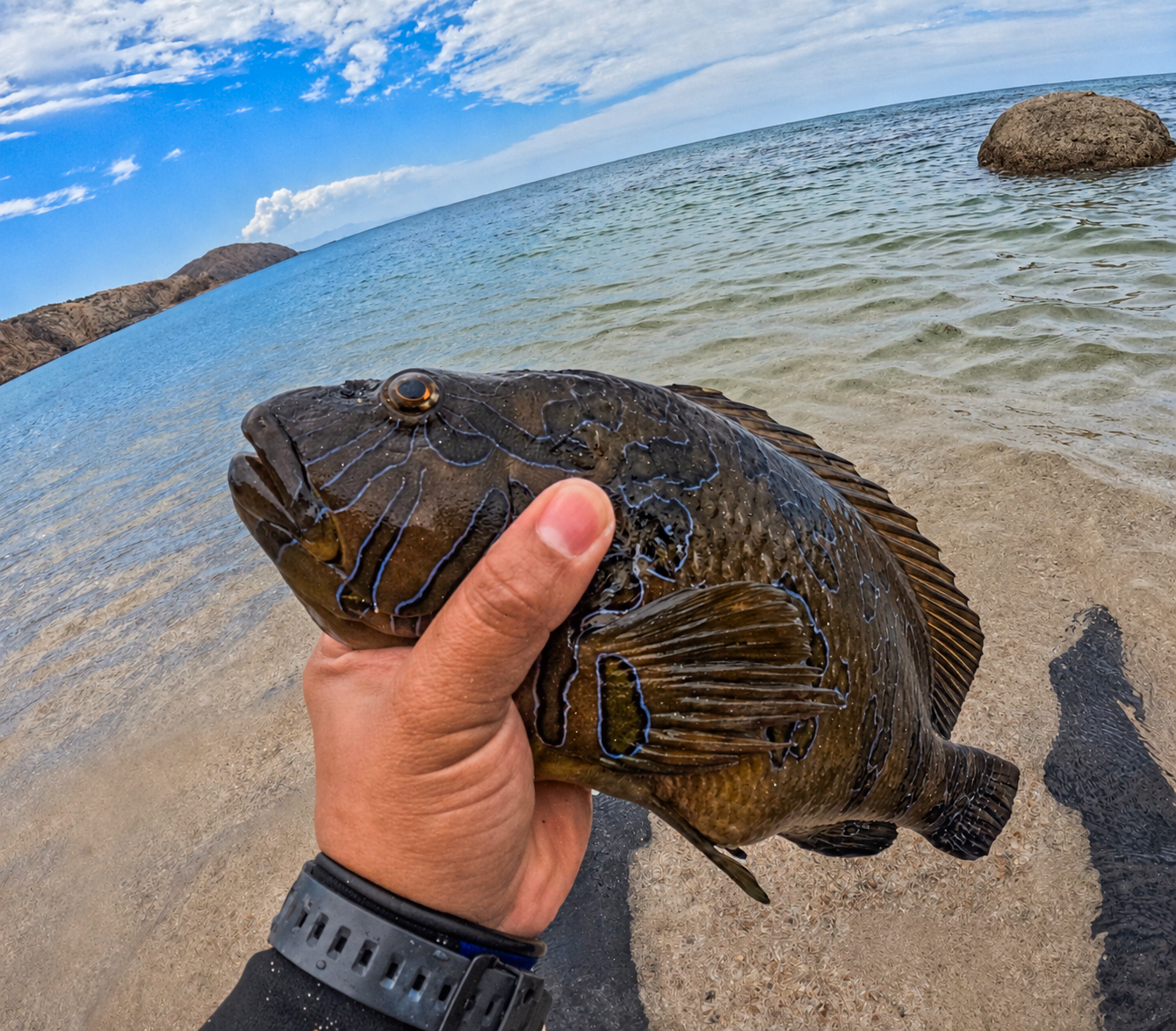 Pesca submarina con marea baja — imagen 3