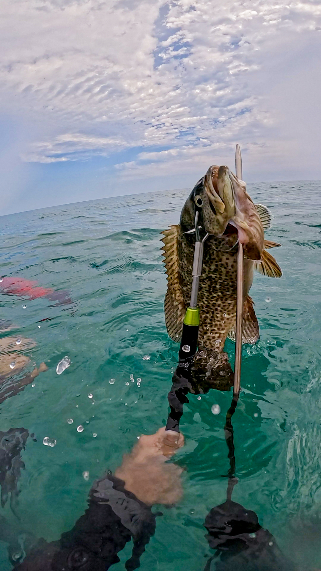 Pesca submarina con marea baja — imagen 4