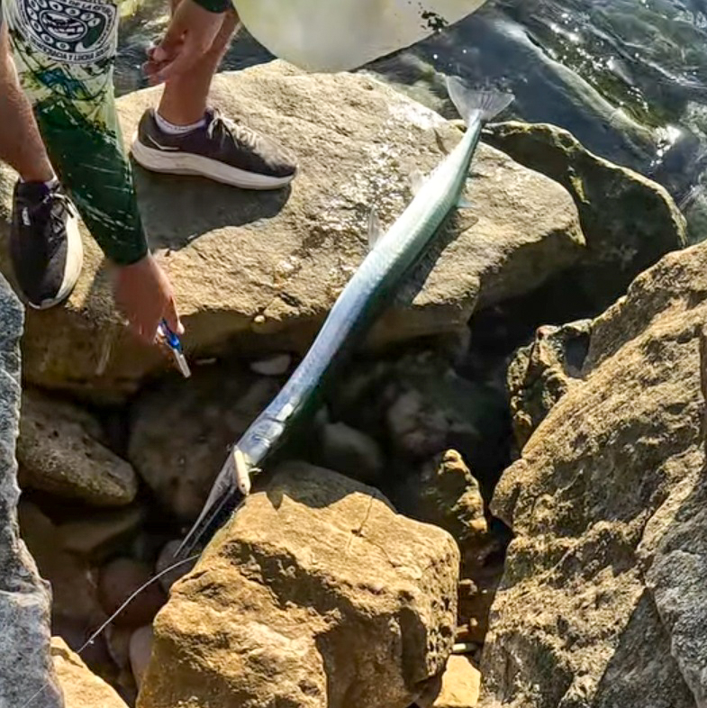 Paseante Hooked Walker 14gr - de Pesca Fácil